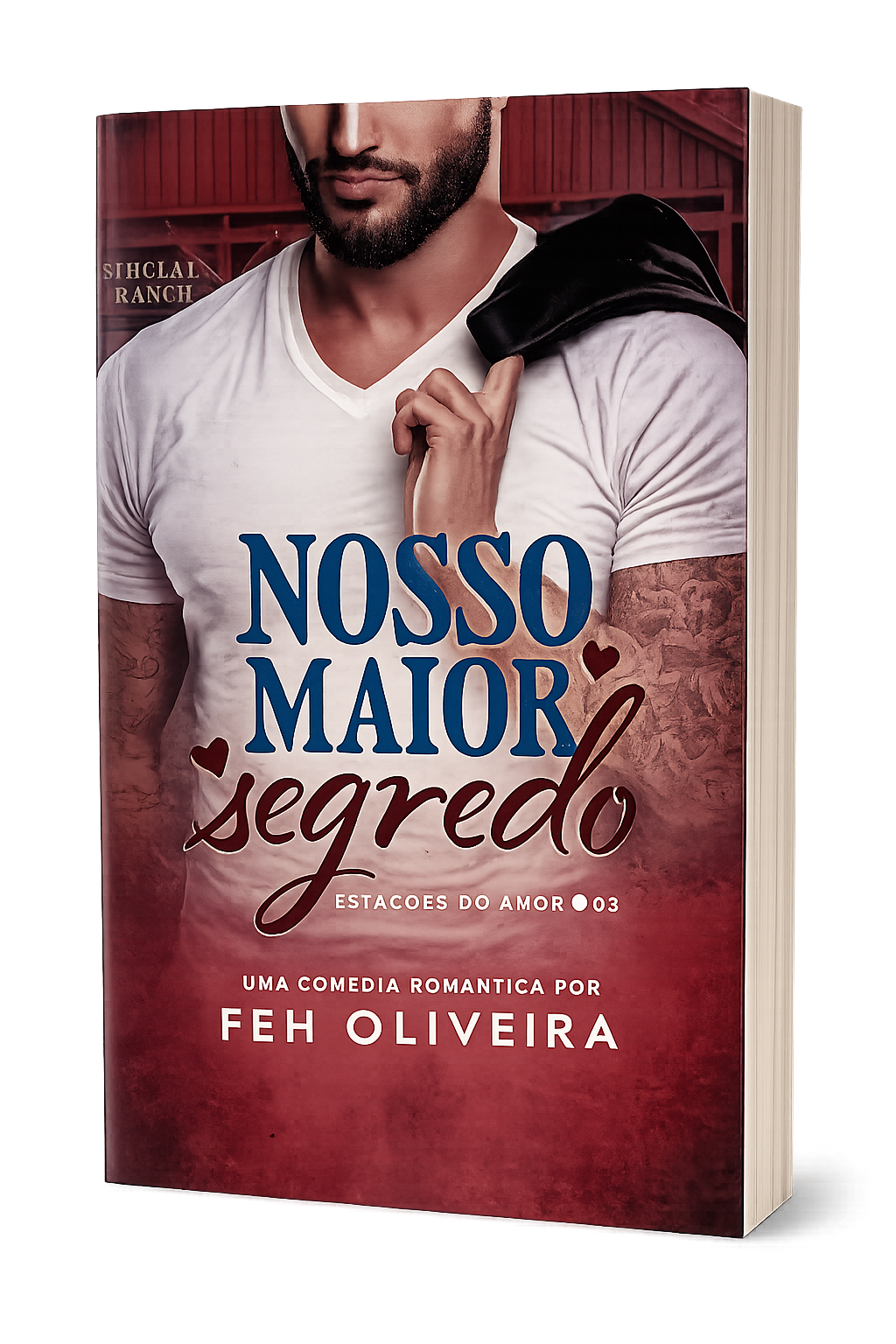 Capa do livro Nosso Maior Segredo, de Feh Oliveira